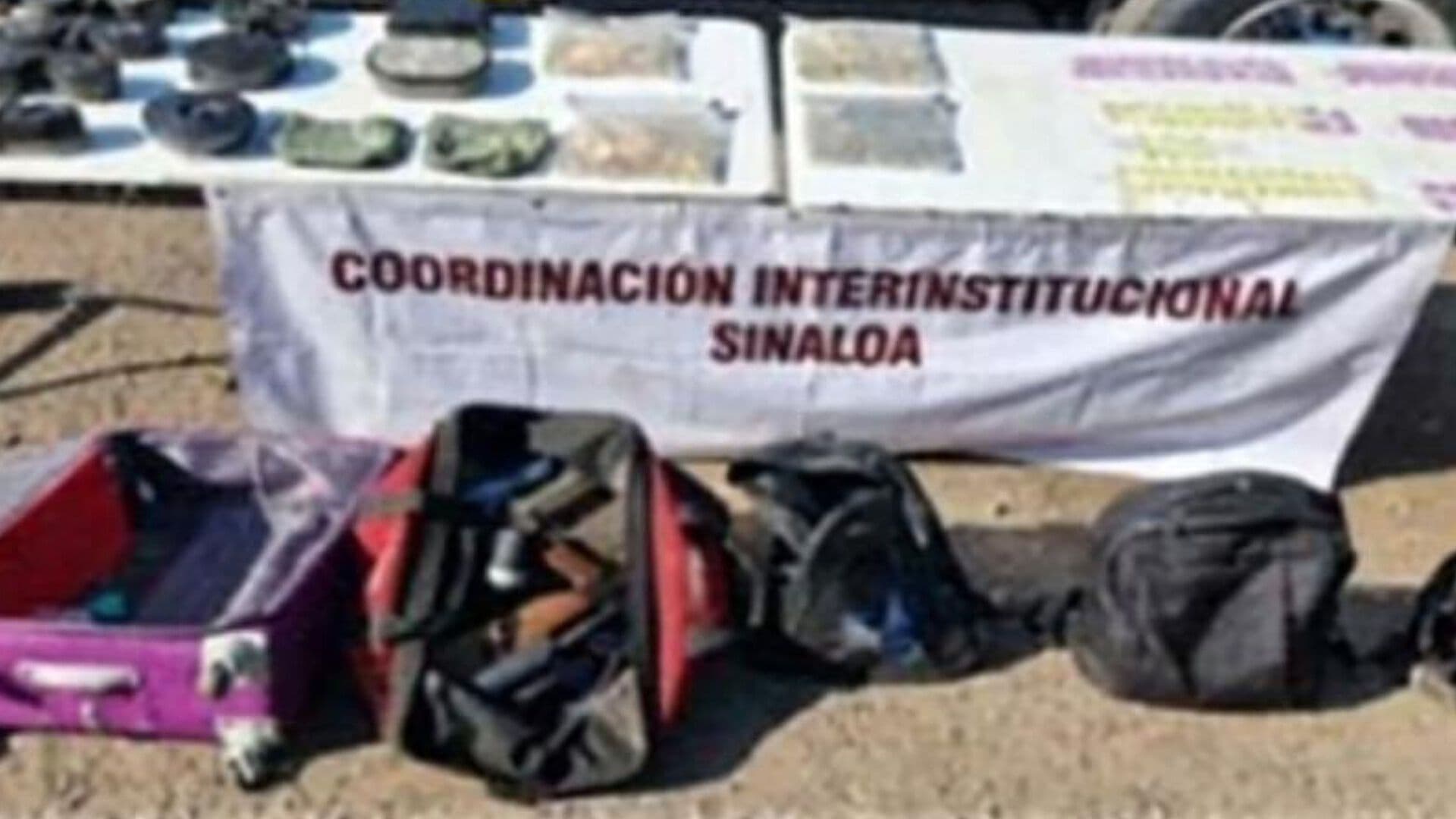 Resumen de Noticias Vespertino: Dan Nuevo Golpe a 'Los Chapitos'
