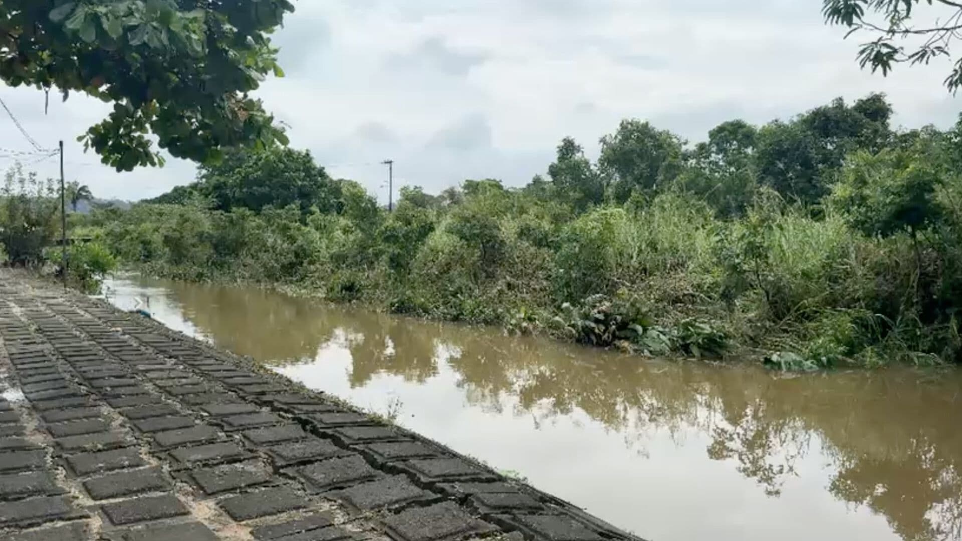 Moloacán e Ixhuatlán, Municipios del Sur de Veracruz Más Afectados por Lluvias