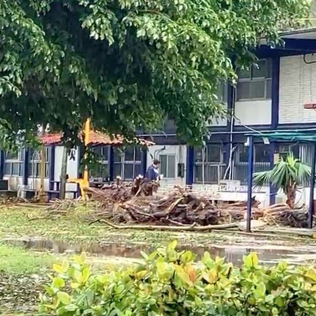 CBTIS de Coatzacoalcos Continúa Sin Clases tras Afectaciones por Lluvias