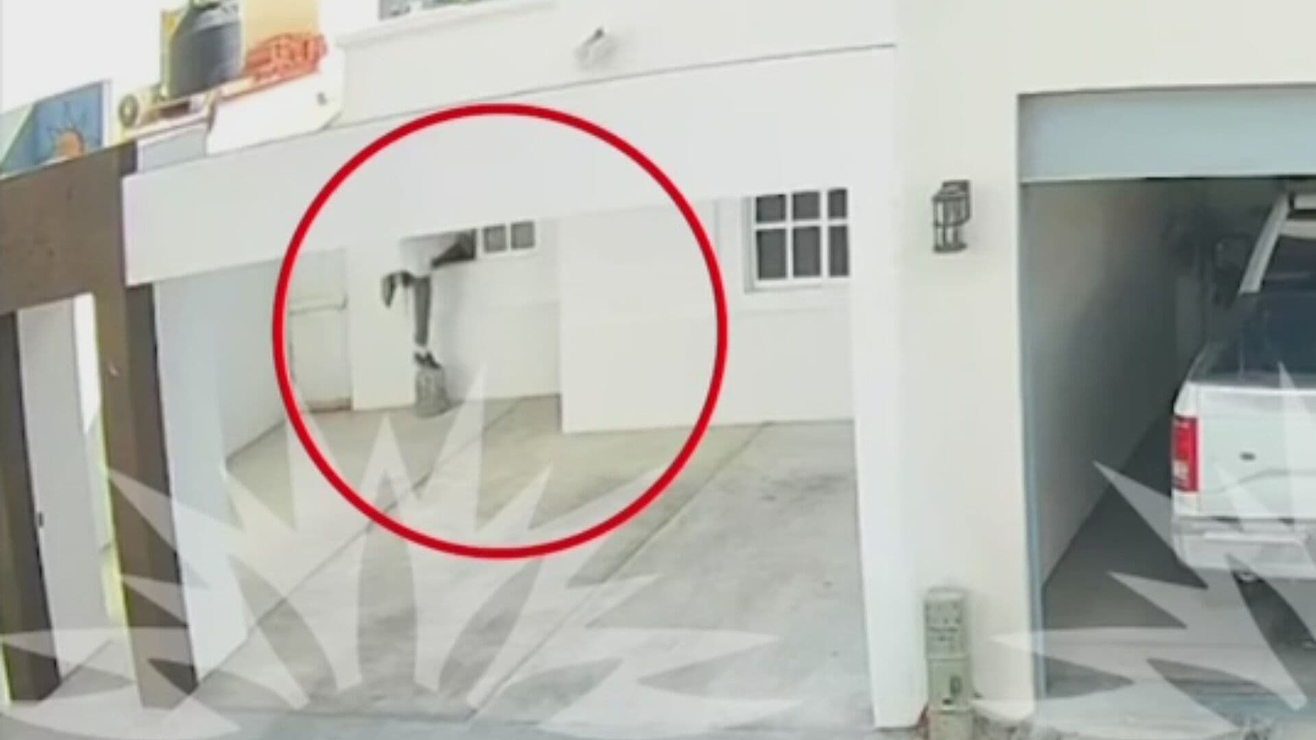 Video | A Gritos, Mujer Ahuyenta a Ladrón en Casa de Los Cabos