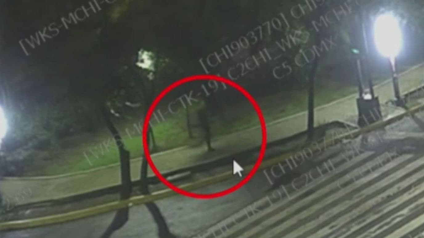 Video: Captan a Sujeto Dejando Presuntos Cebos con Veneno en La Condesa