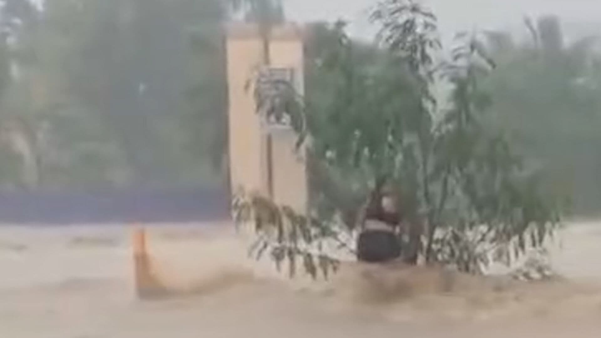 Fuerte Corriente de Inundación Arrastra a Mujer en Cabo San Lucas