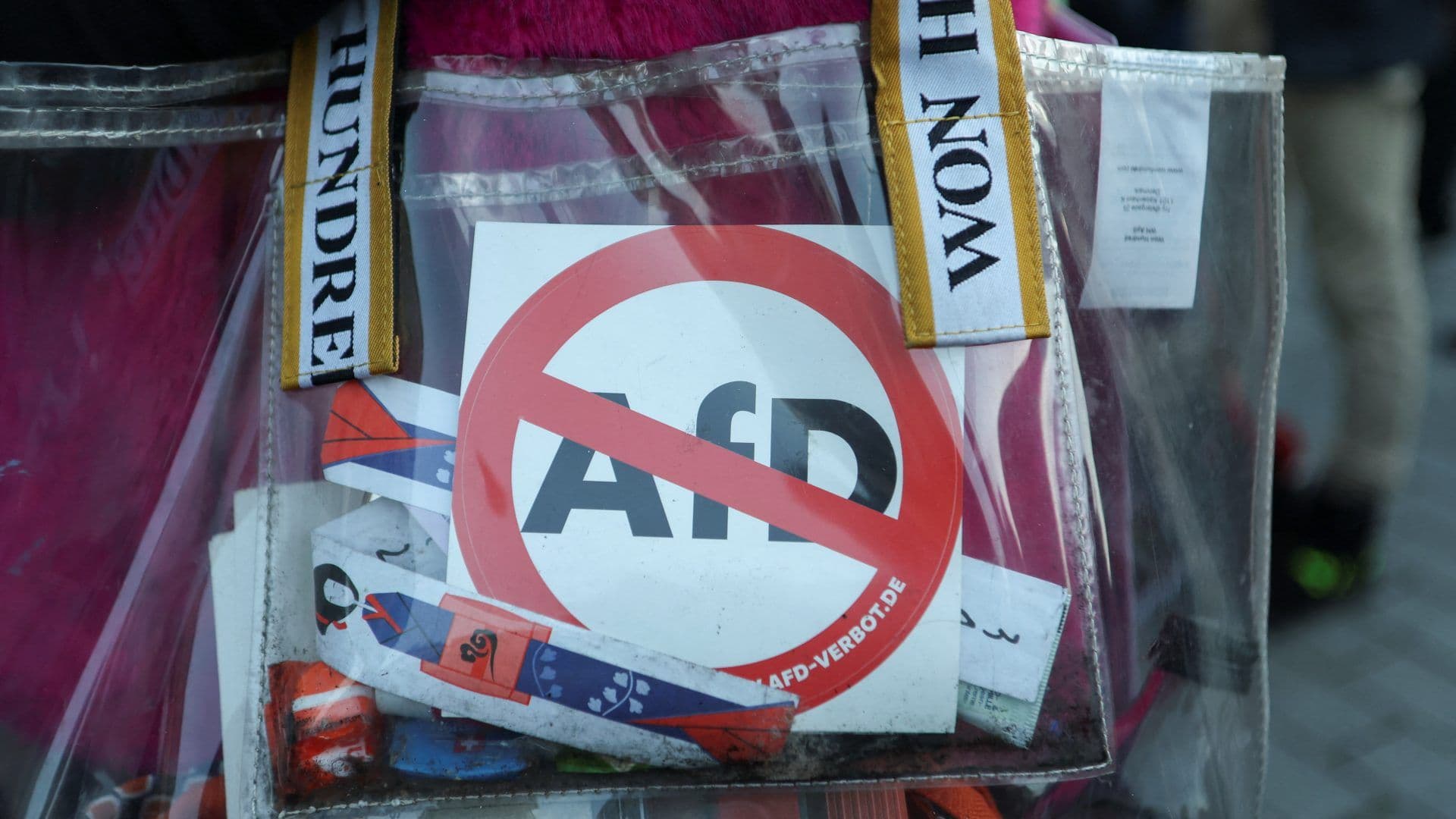 ¿Qué es 'Ultra Derecha'? Significado y Explicación de AFD en Alemania