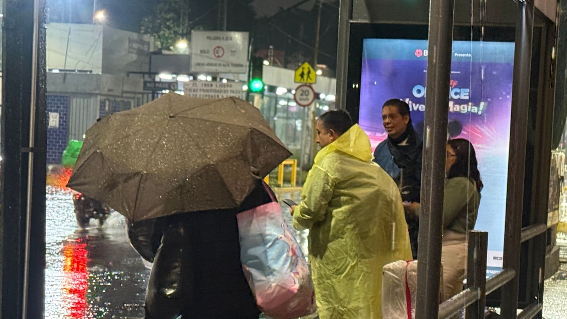 Dejan Lluvias en CDMX 20 Árboles Caídos, Inundaciones y Deslave