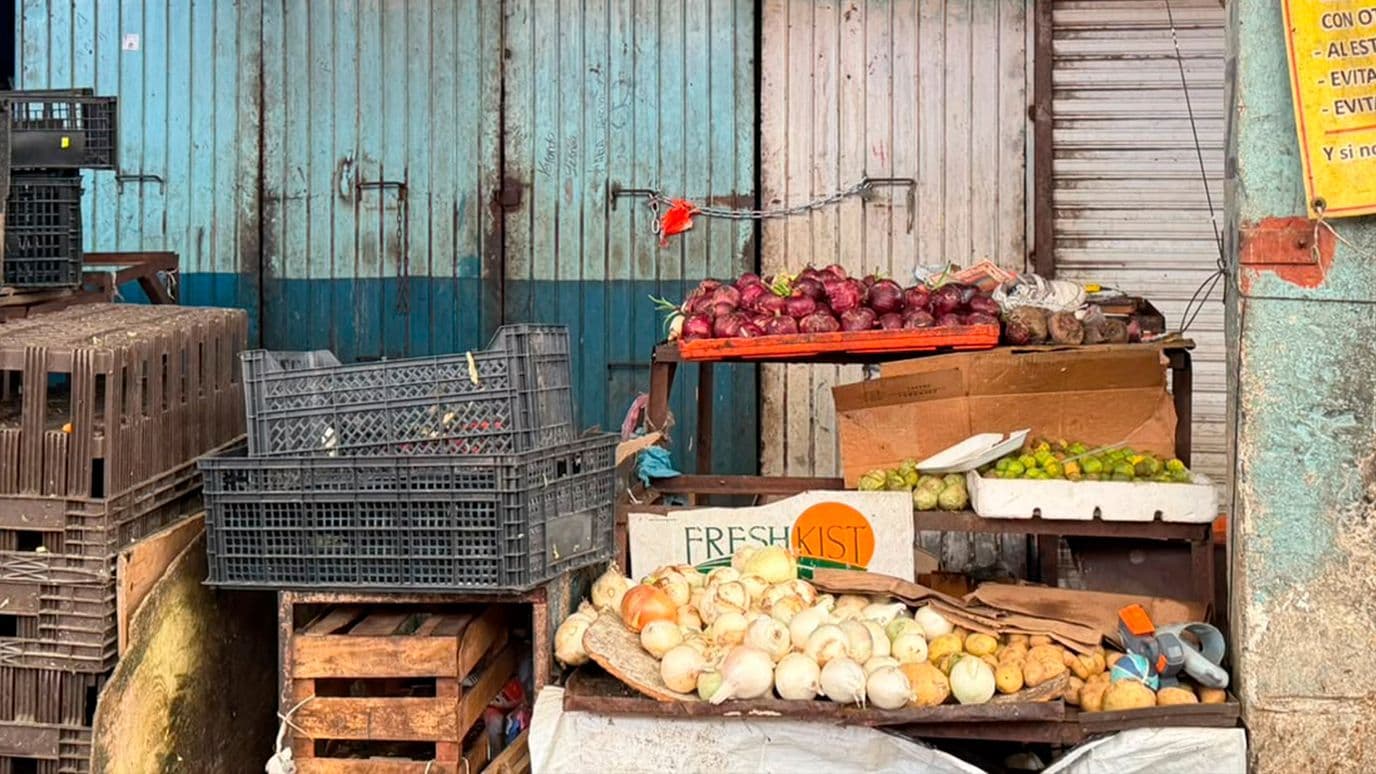 Aseguran Droga Oculta en Pañal en Local del Mercado Alianza en Torreón, Coahuila