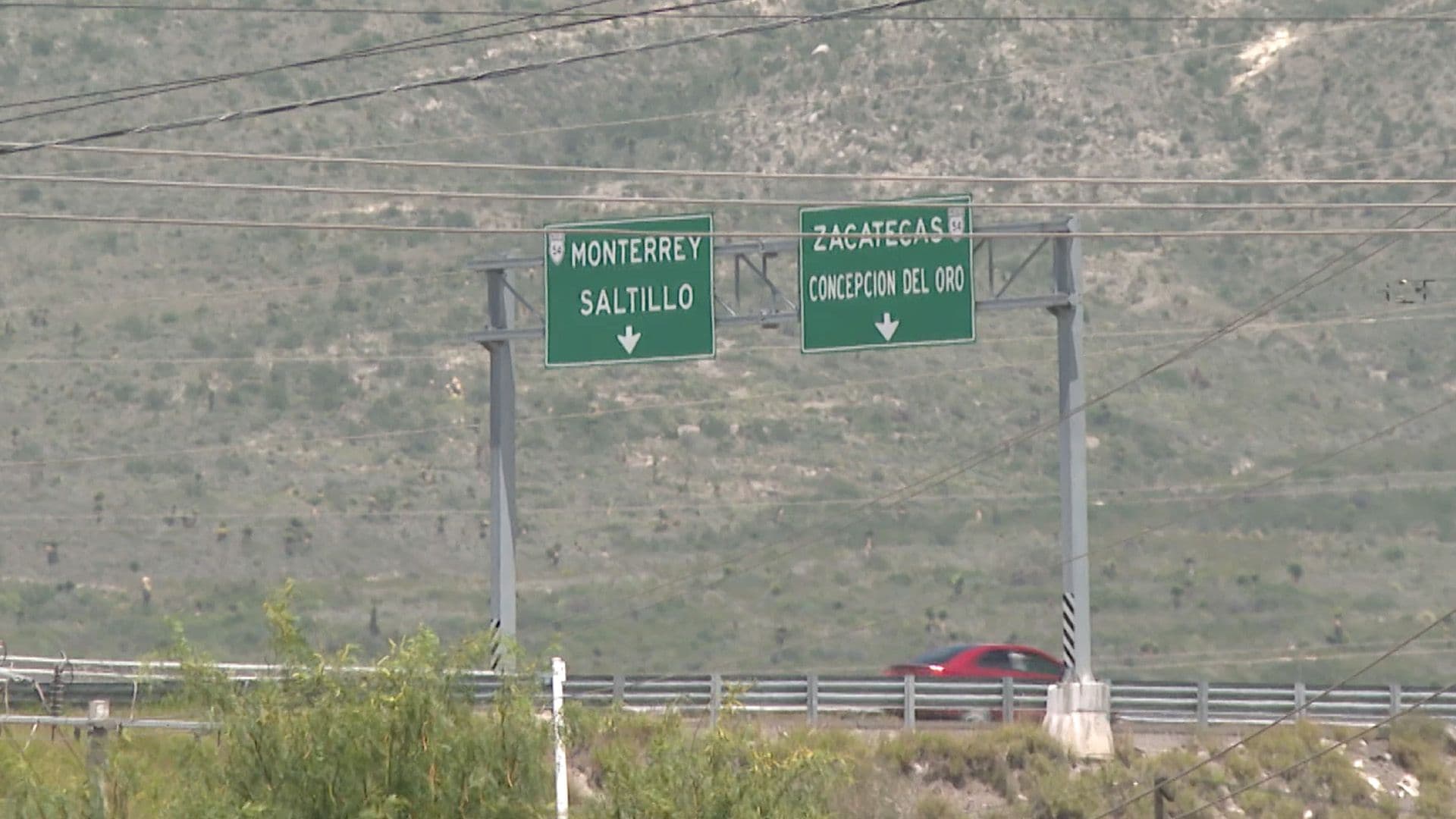Aseguran Especies Exóticas Transportadas en Autobús en Carretera Saltillo-Zacatecas