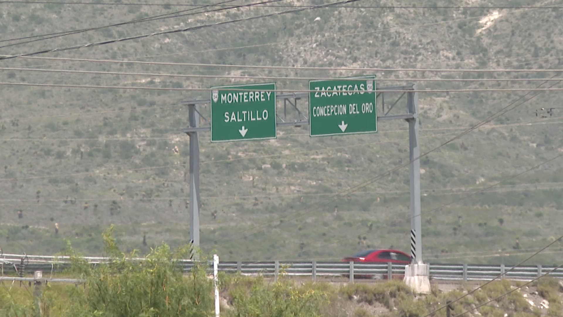 Aseguran Especies Exóticas Transportadas en Autobús en Carretera Saltillo-Zacatecas
