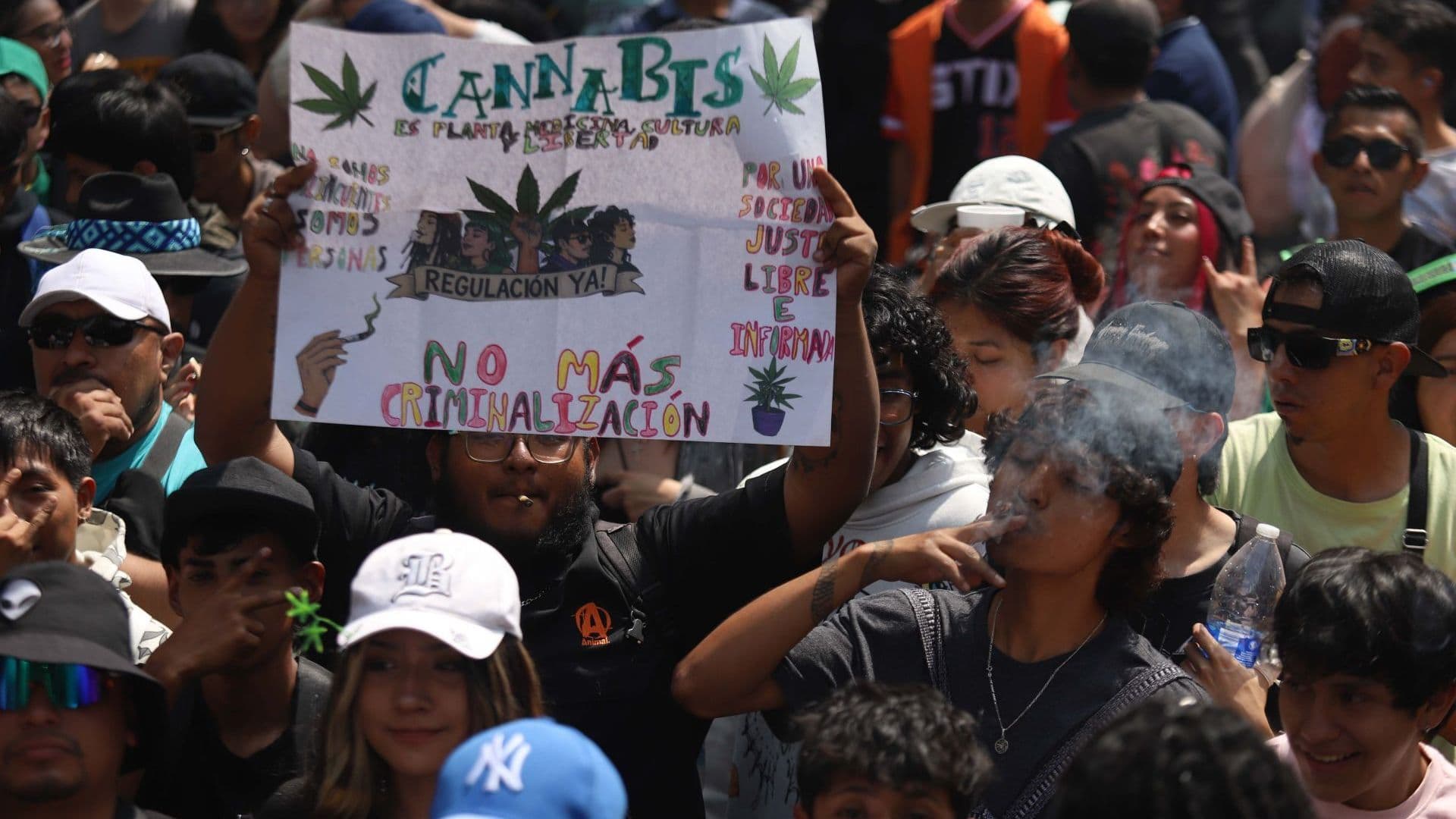 Cofepris Acata Resolución de la Corte Sobre Autoconsumo Lúdico de Cannabis, En Esto Consiste