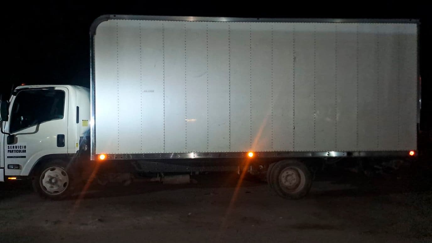 Decomisan 3 Mil Plantas Cactáceas Durante Operativo en San Pedro, Coahuila