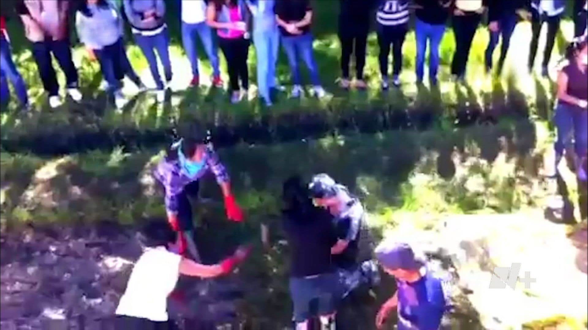 Video