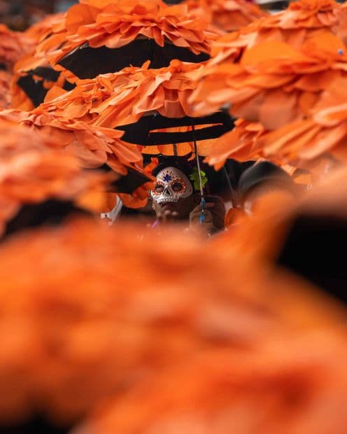 Eventos Gratis en CDMX del 23 al 25 de Octubre 2026: Desfiles, Rodadas de Día de Muertos y Más
