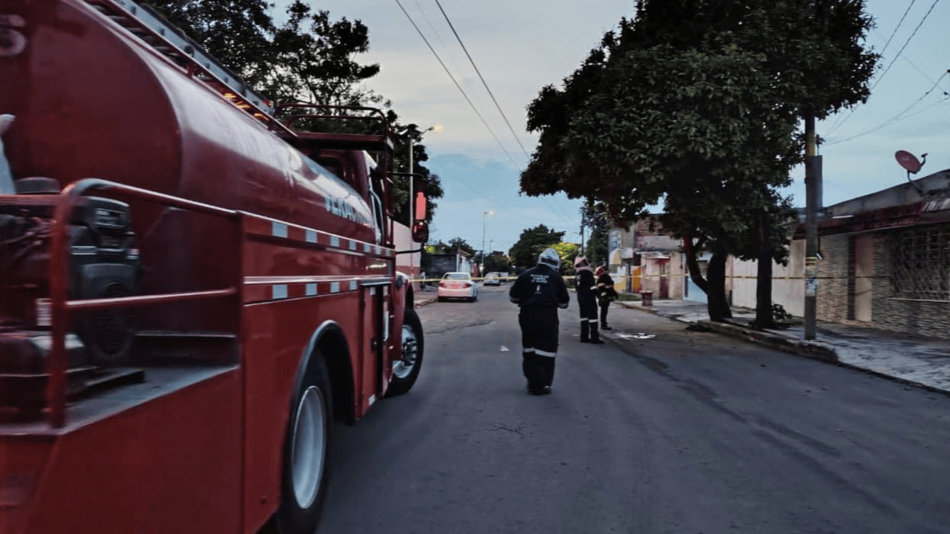 Hombre es Atacado por Abejas en Veracruz; Buscan Contactar a sus Familiares