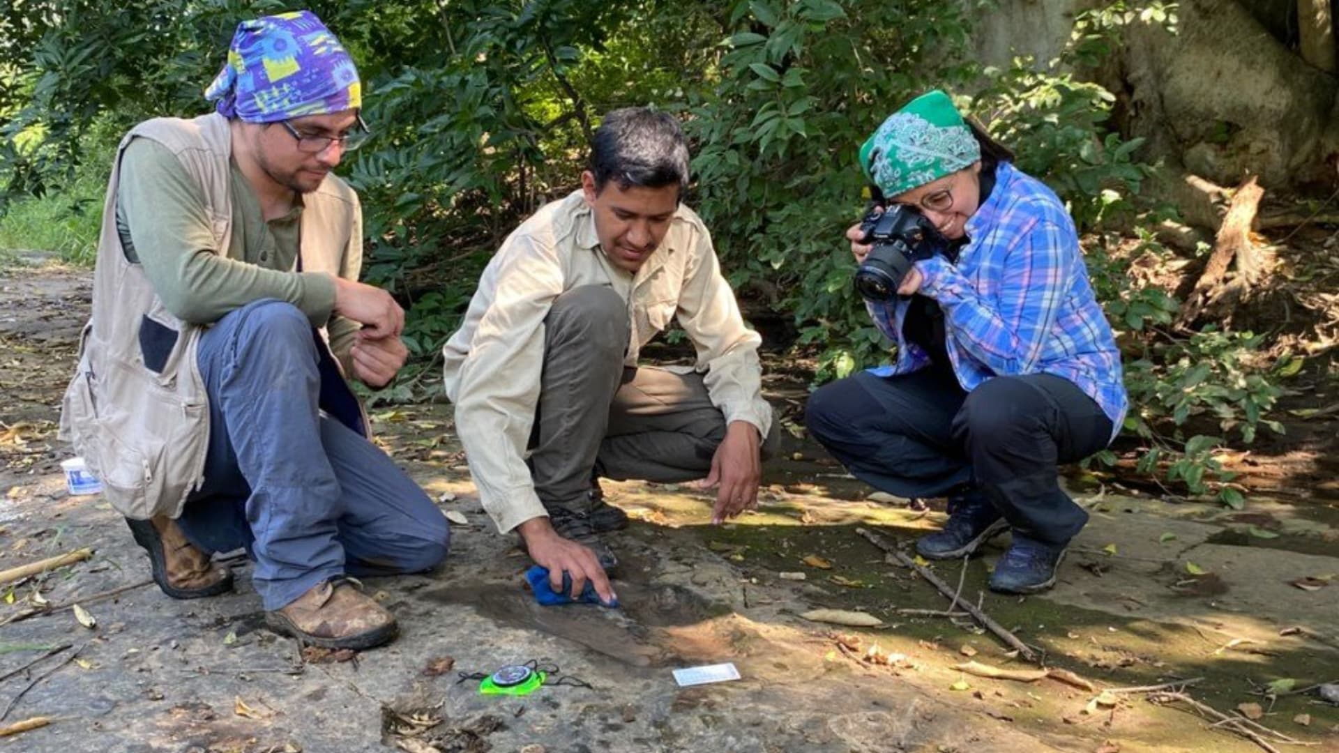 INAH dinosaurios en Michoacán