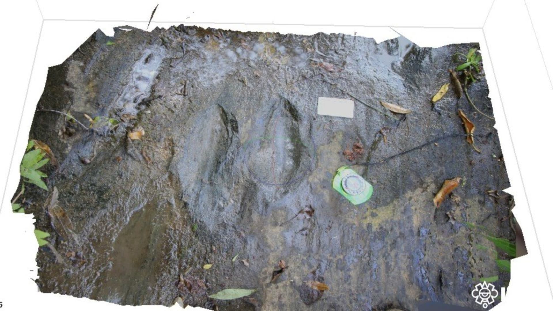 INAH dinosaurios en Michoacán