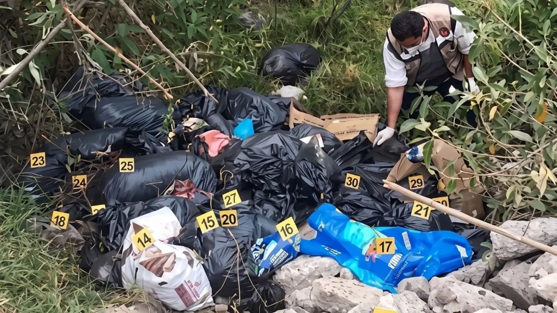 Indignación en Naucalpan por Hallazgo de 12 Perros Muertos en un Paraje; Esto se Sabe