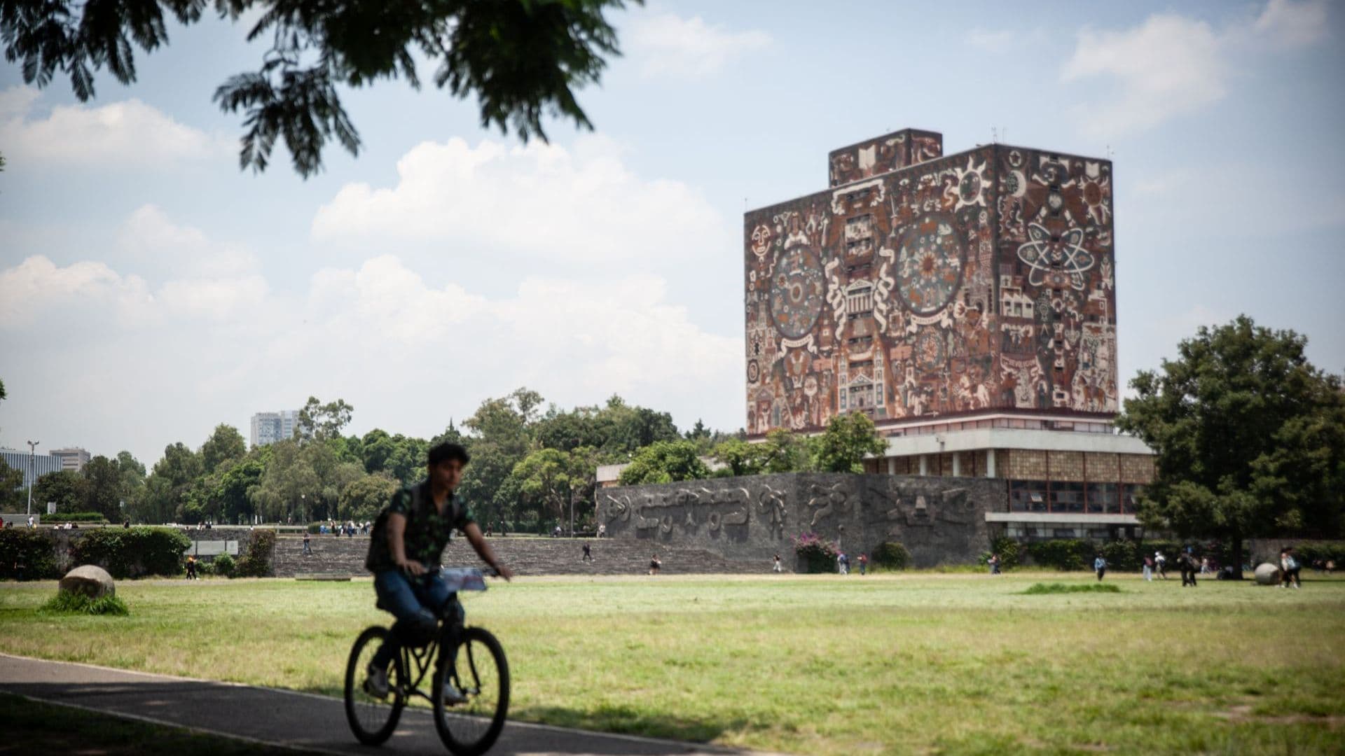 Islas de la Universidad Nacional Autónoma de México. Foto: Cuartoscuro