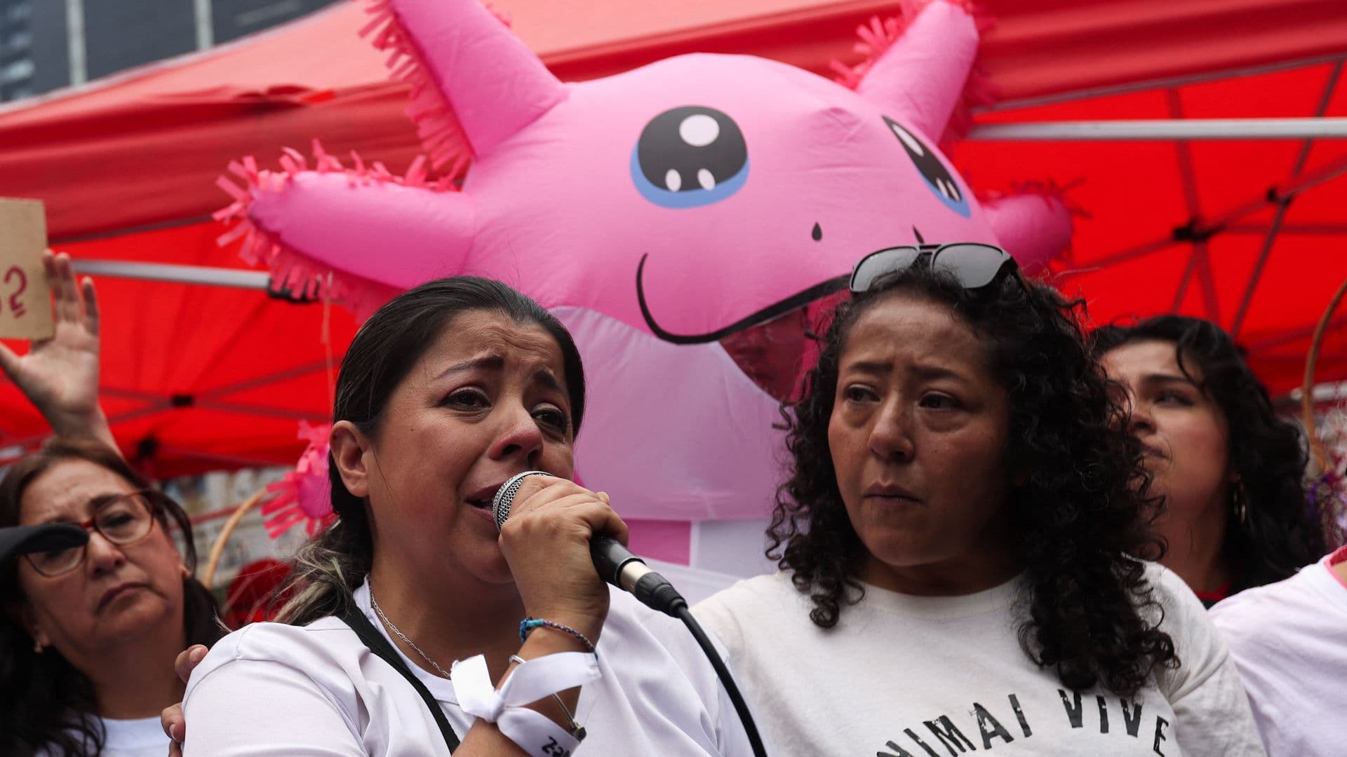 Marchas en CDMX HOY 3 de Agosto de 2026: Manifestaciones y Concentraciones