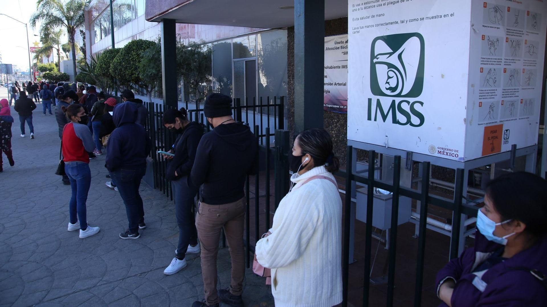 ¿Cómo Saber mi Número de Seguro Social? Paso a Paso para Consultar NSS en Internet con CURP