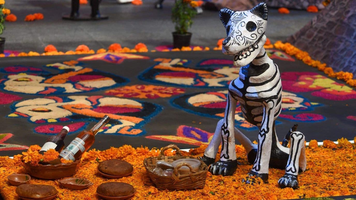 Día de Muertos 2026: ¿Cuándo se Pone la Ofrenda a las Mascotas y Qué Lleva?