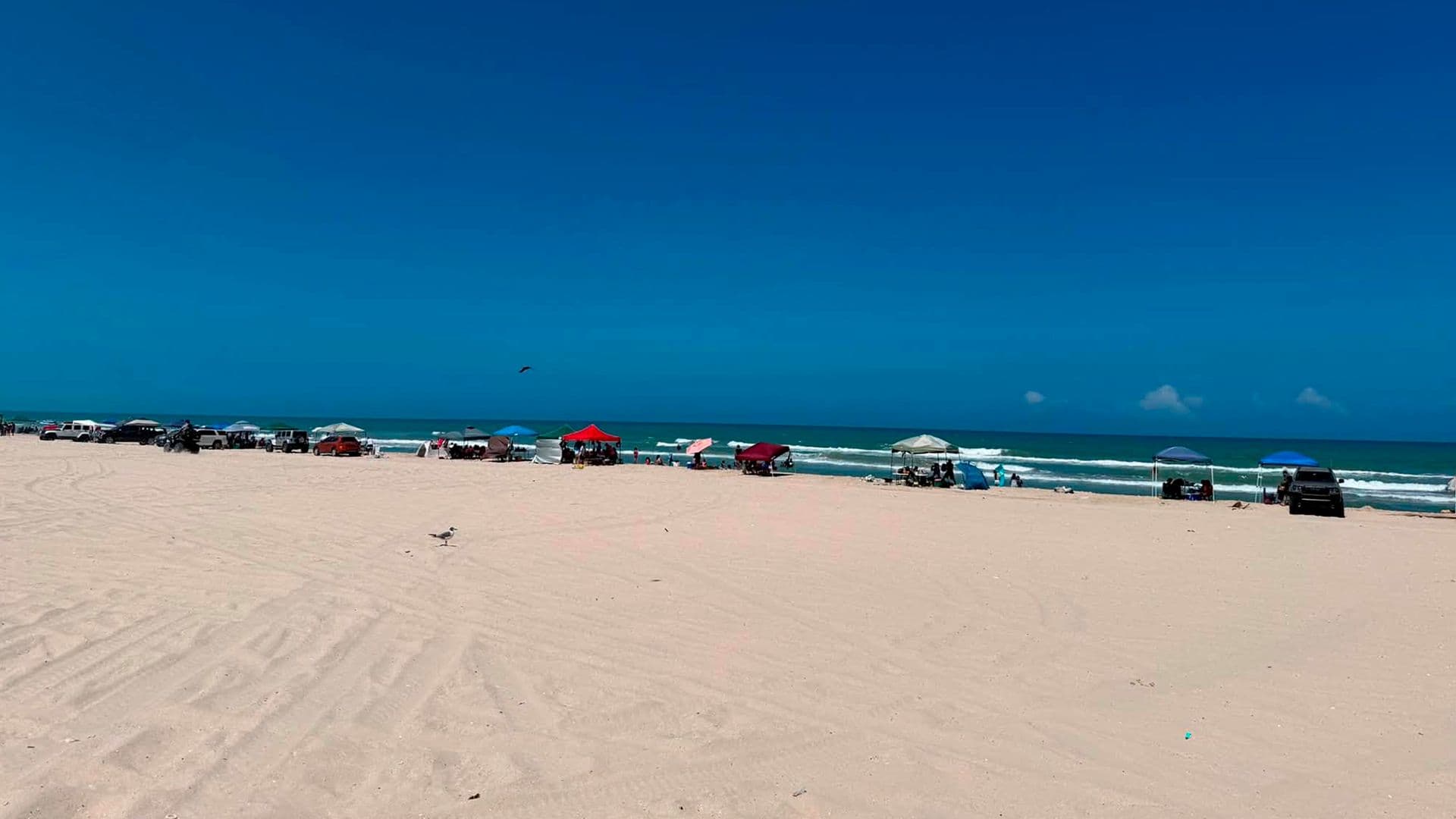 Mueren Cuatro Elementos de la Marina tras Caer a un Río en Soto la Marina, Tamaulipas