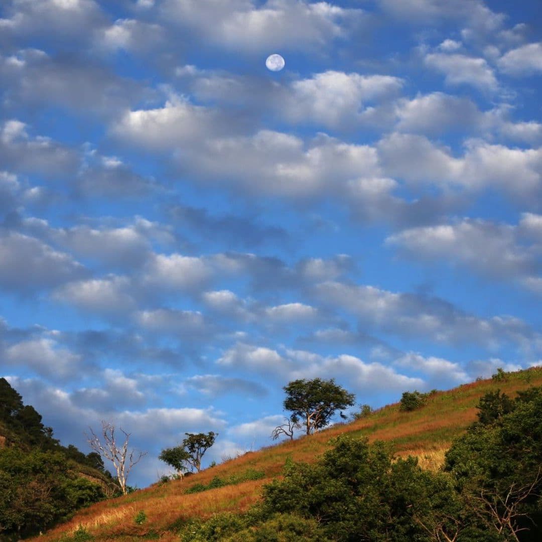 ¿Por Qué el Cielo es Azul Según la NASA?