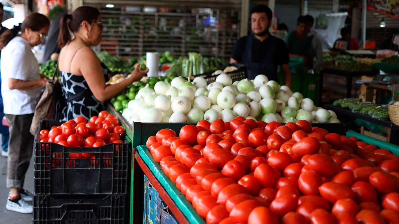 Cebolla y Jitomate Dispararon sus Precios: Sube Costo de la Canasta Alimentaria en México