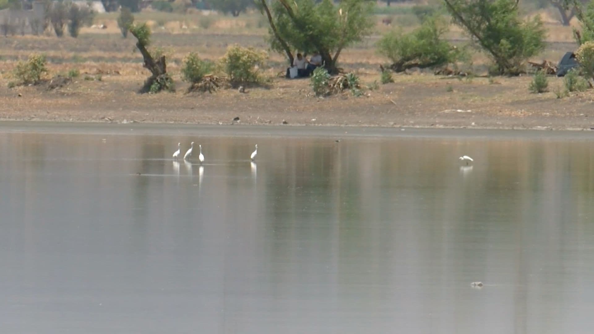 CONAGUA Reporta Tres Presas al 100% de Almacenamiento en Querétaro