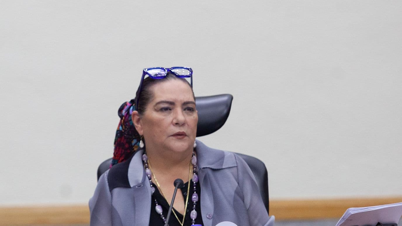 Recibe Cámara de Diputados Renuncia de Guadalupe Taddei