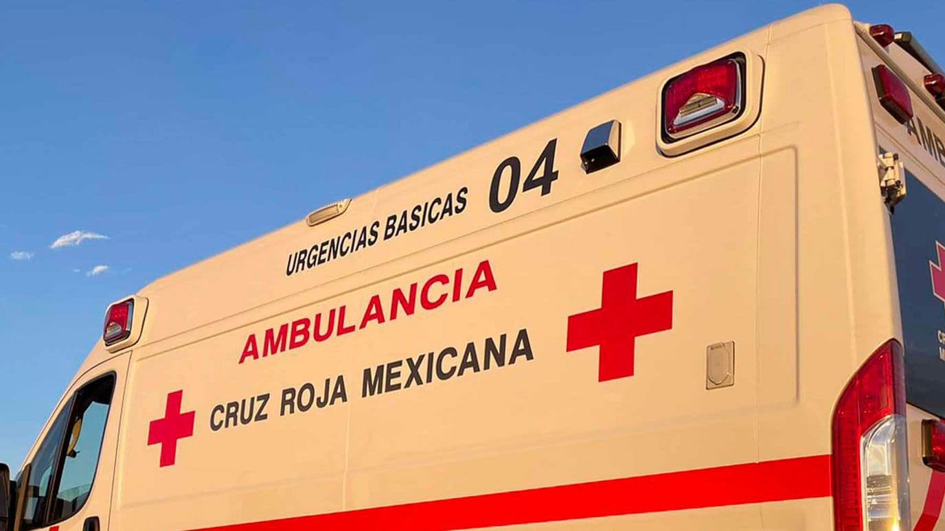 Serpiente de Cascabel Muerde a Niña de 3 Años en San Pedro, Coahuila