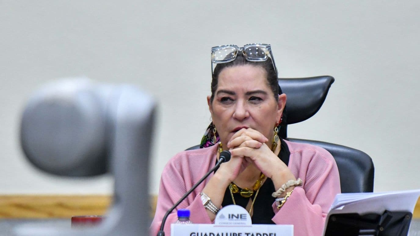 Taddei Renunciará al INE tras Señalamientos por Presunta Corrupción