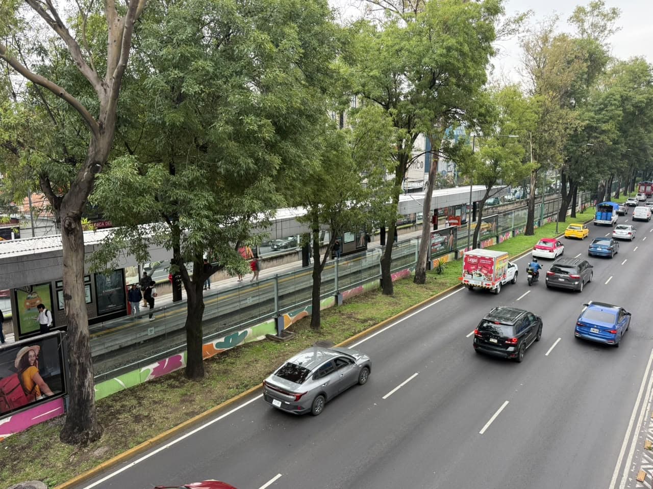 Accidente en El Tren Ligero de la CDMX: ¿Qué Pasó en la Estación El Vergel?