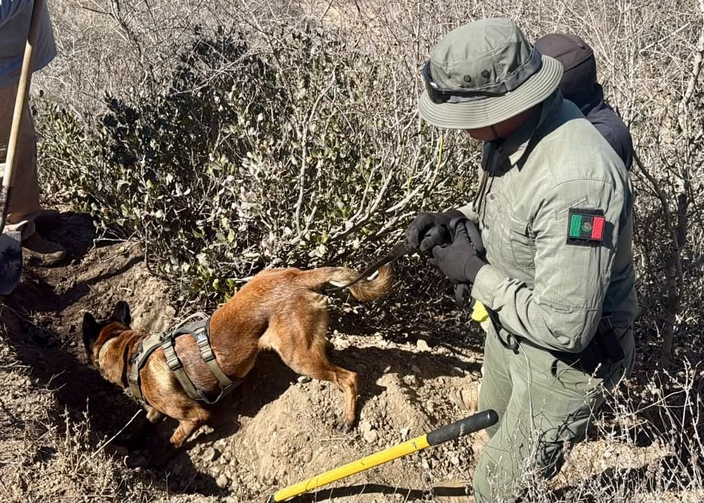El binomio canino rabajando en el marcaje de restos en El Sauzal