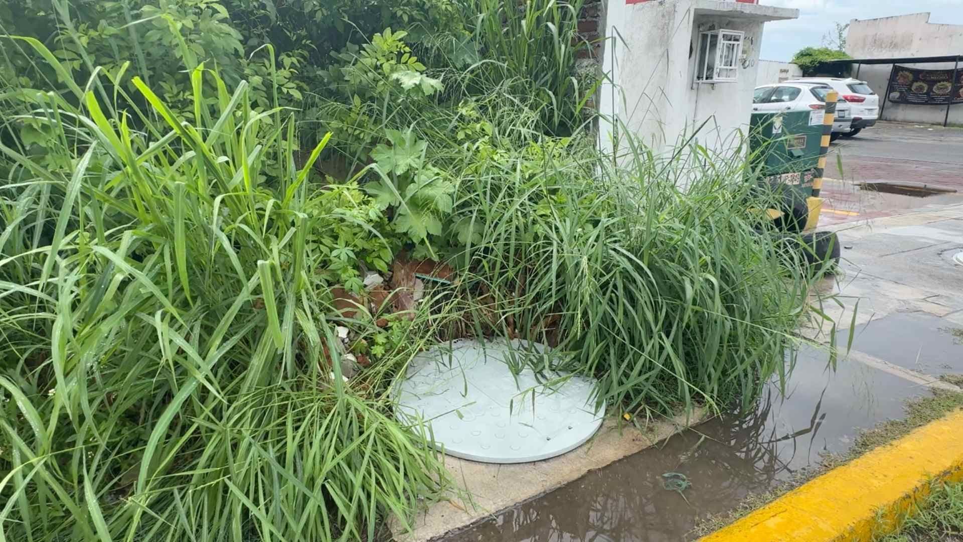 Adulto Mayor Muere al Caer en Registro sin Tapa en Veracruz; Circulaba en su Bicicleta