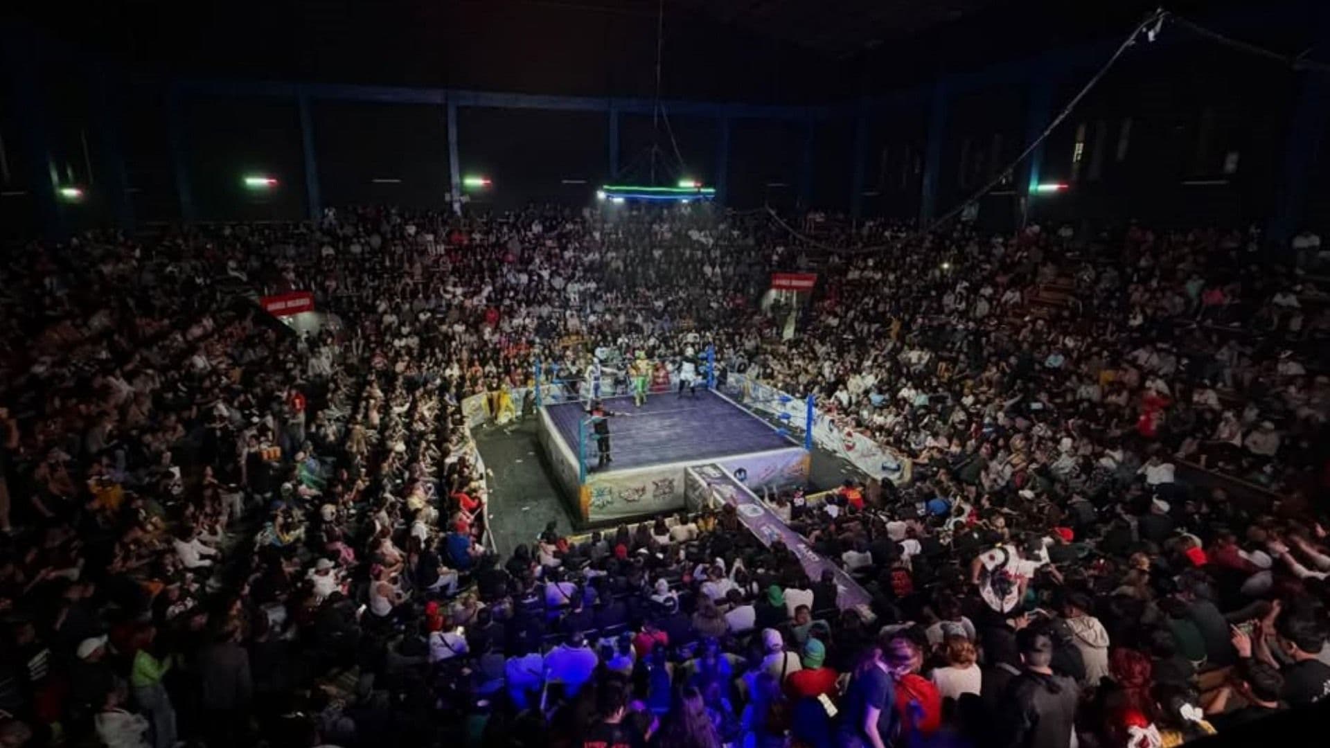 ¿Qué le Pasó a Pierroth Jr? Video del Momento en que se Desvanece en el Ring