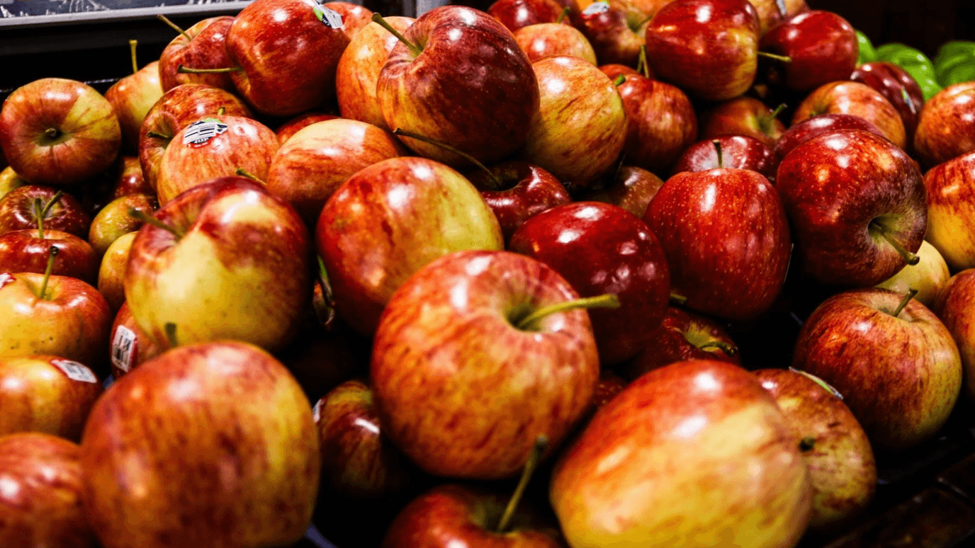 Manzana Gala
