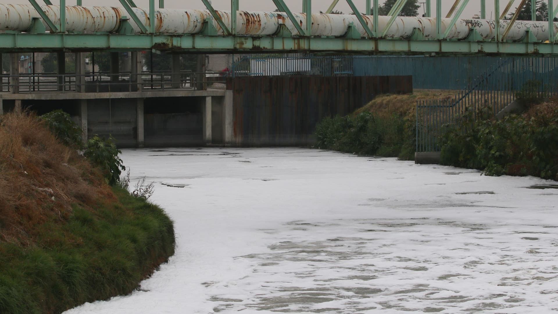 canal de la compañía