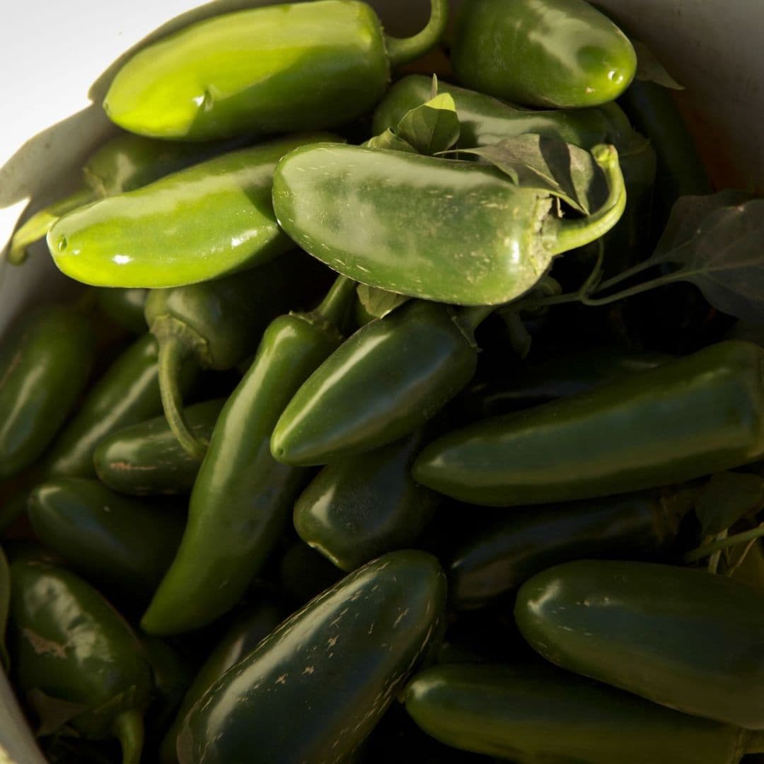 Revelan de Dónde Son los Chiles Jalapeños que No se Deben Comer por Posible Salmonella