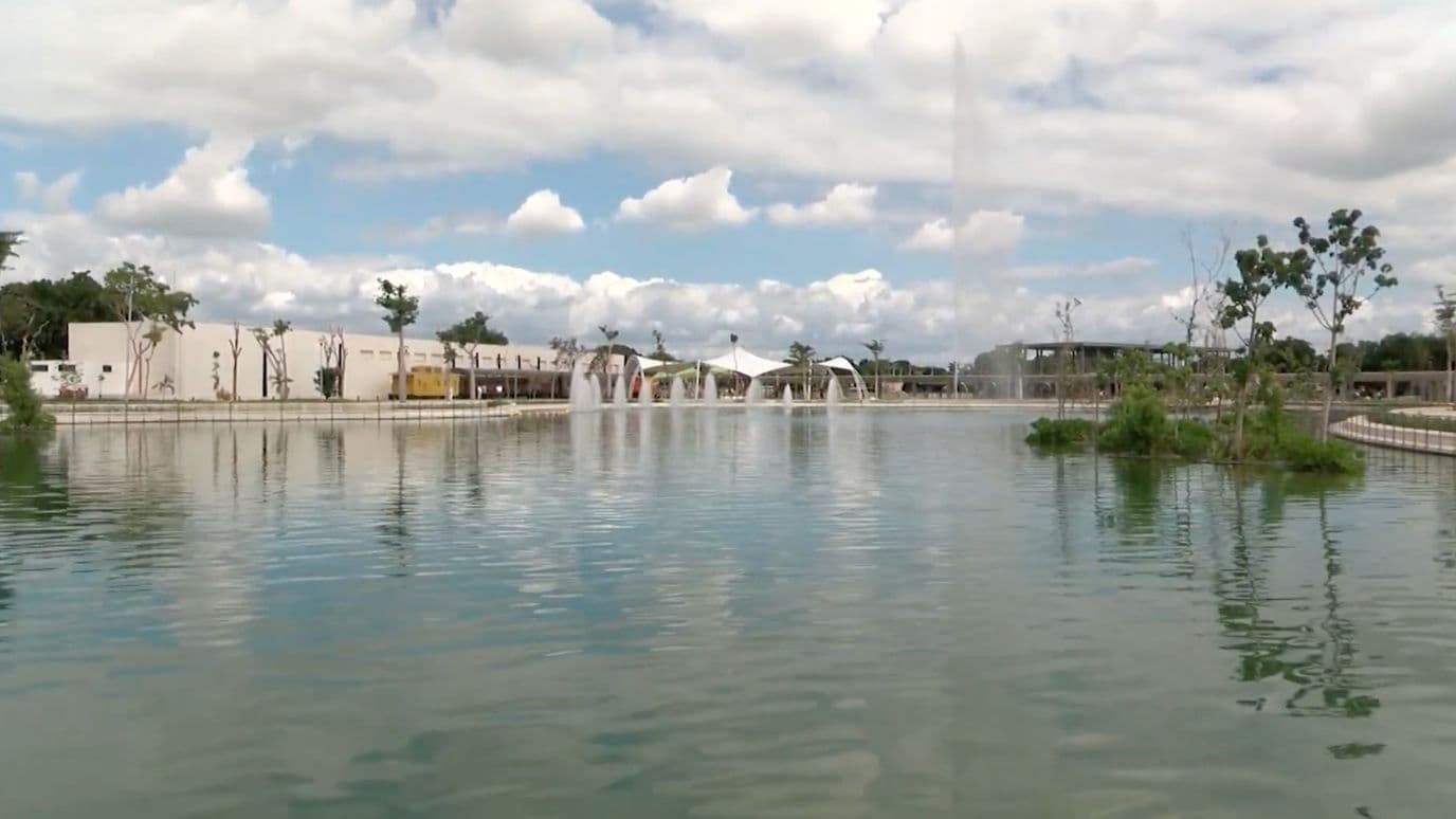 Cierran Lagos en Mérida tras Detectar Presencia de Amebas