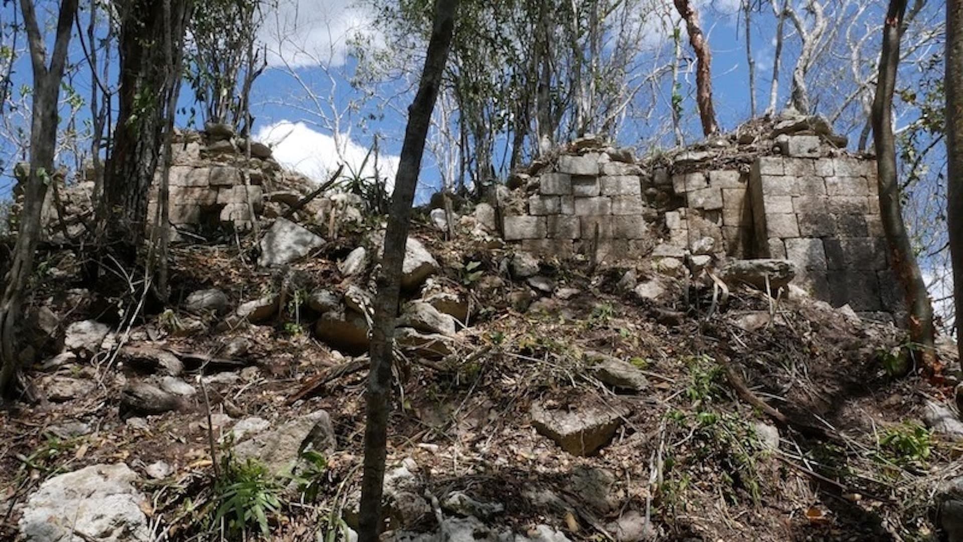 Descubren en Campeche una Ciudad Maya Intacta; Así es Minanbé