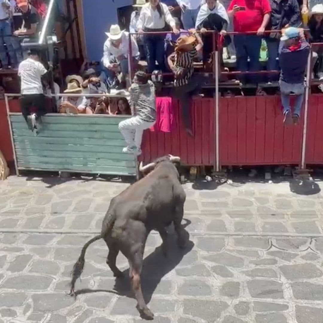 Una Persona Termina Cornada Durante 'La Capea de Toros' en Xico, Veracruz