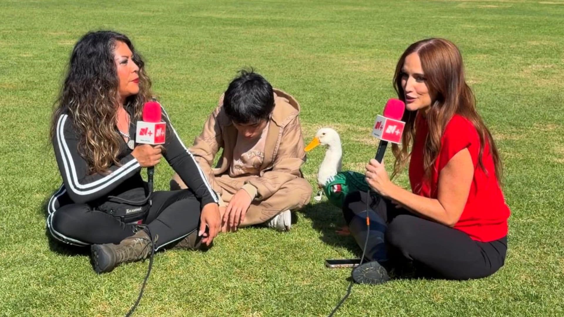 Merlín, de México para el Mundo: El Pato Viral y Mundialista Ya Es Estrella Internacional
