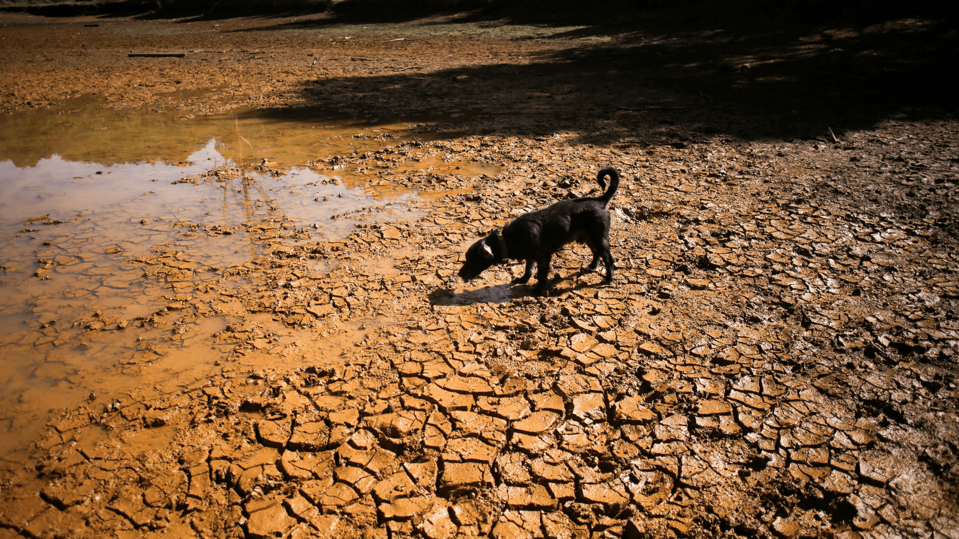 Financiarán a Países que Sufran Daños por el Fenómeno de El Niño en América Latina