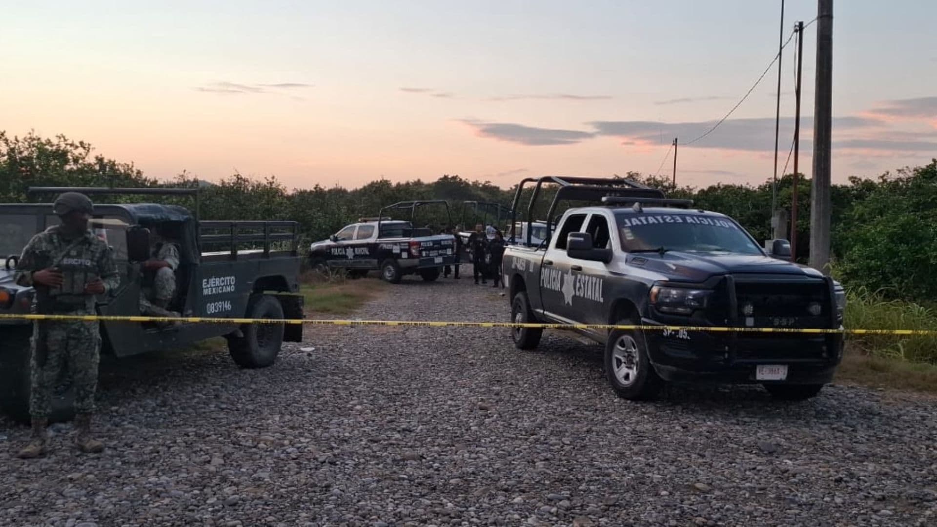 Hallan Cuerpo con Presuntas Huellas de Violencia en Carretera Álamo-Castillo de Teayo
