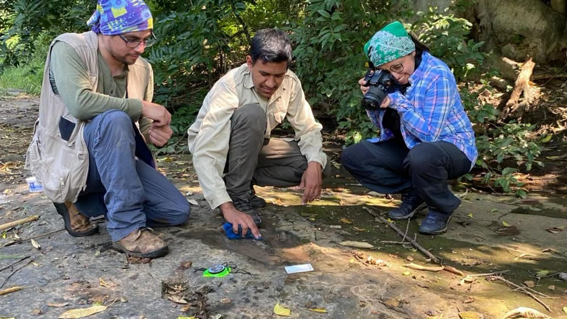 Las huellas son de dinosauros que habitaron Michoacán hace aproximadamente 65 millones de años. Foto: INAH