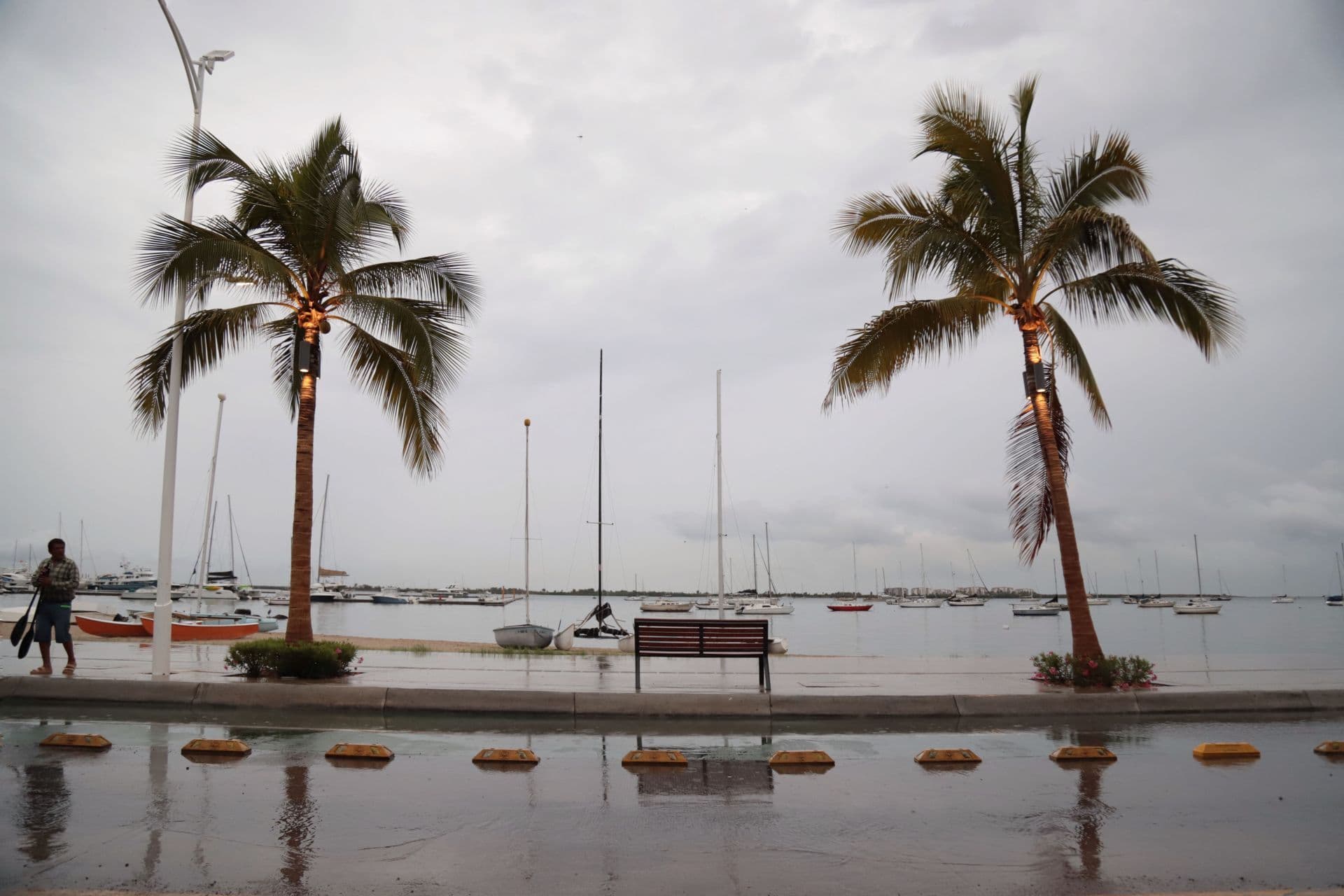 Marie se Intensifica a Huracán Categoría 1; Pronostican Lluvias Intensas en Estos Estados