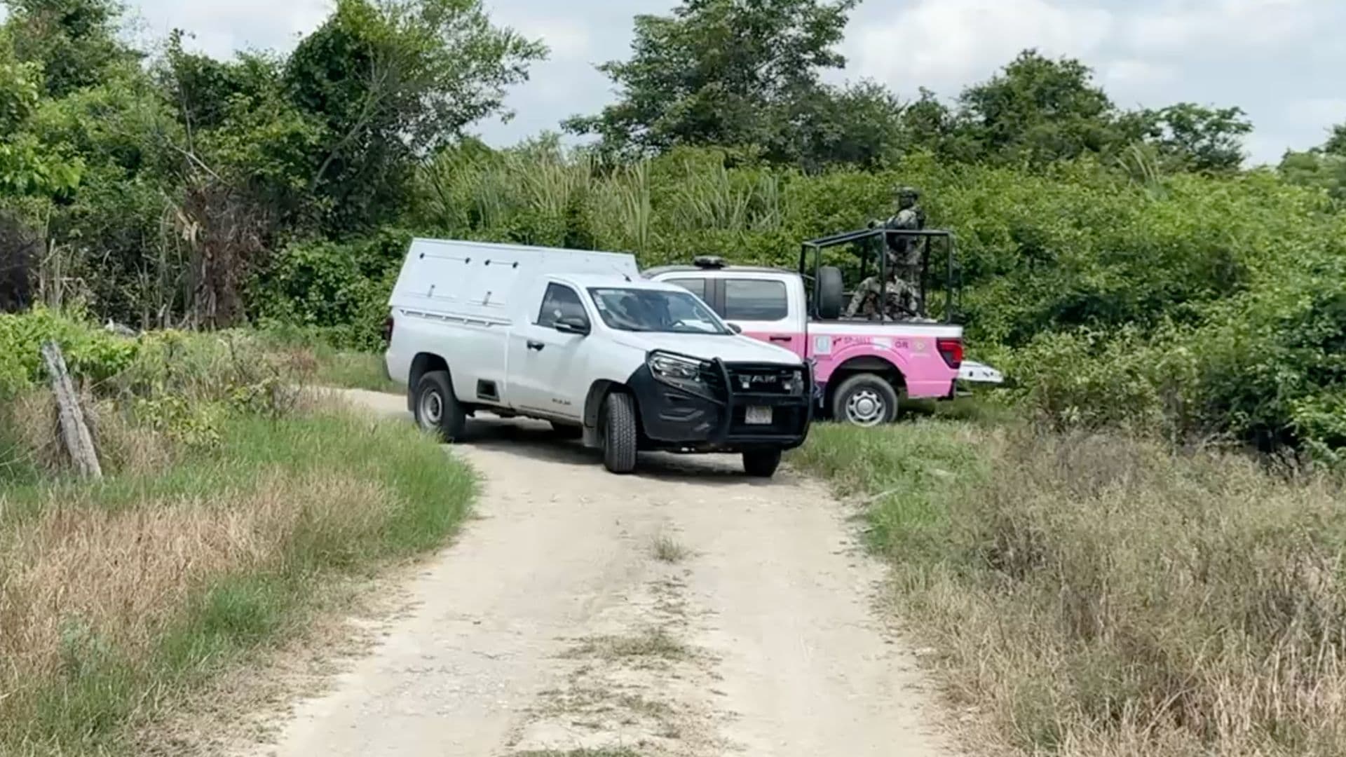 Identifican a Hombre Hallado sin Vida en una Brecha de Tuxpan, Veracruz