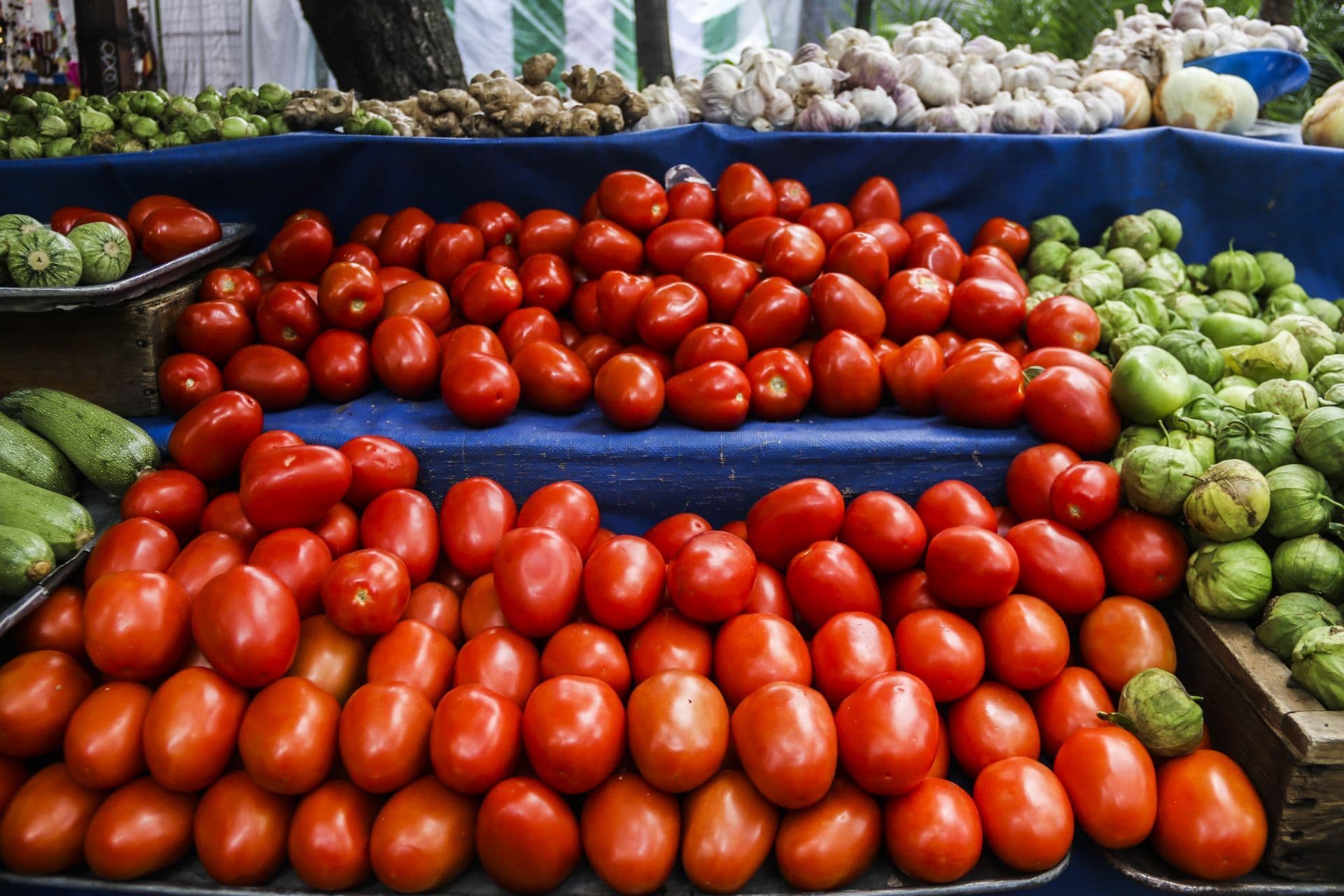¿Cómo Está la Inflación en México? Jitomate, Huevo y Productos que Bajaron de Precio
