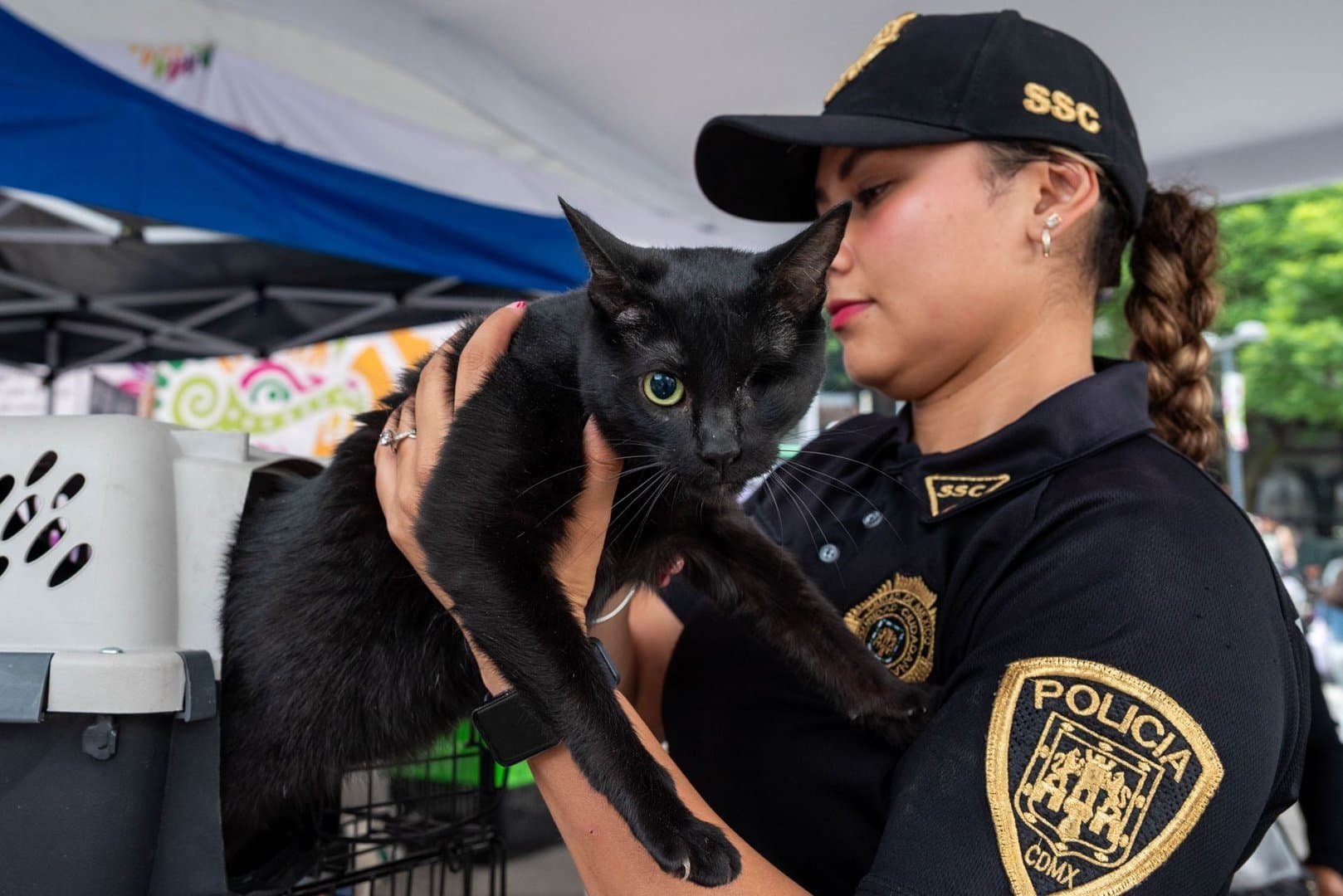 Del Maltrato a un Nuevo Hogar: Adoptan a 21 Perros y Gatos en CDMX
