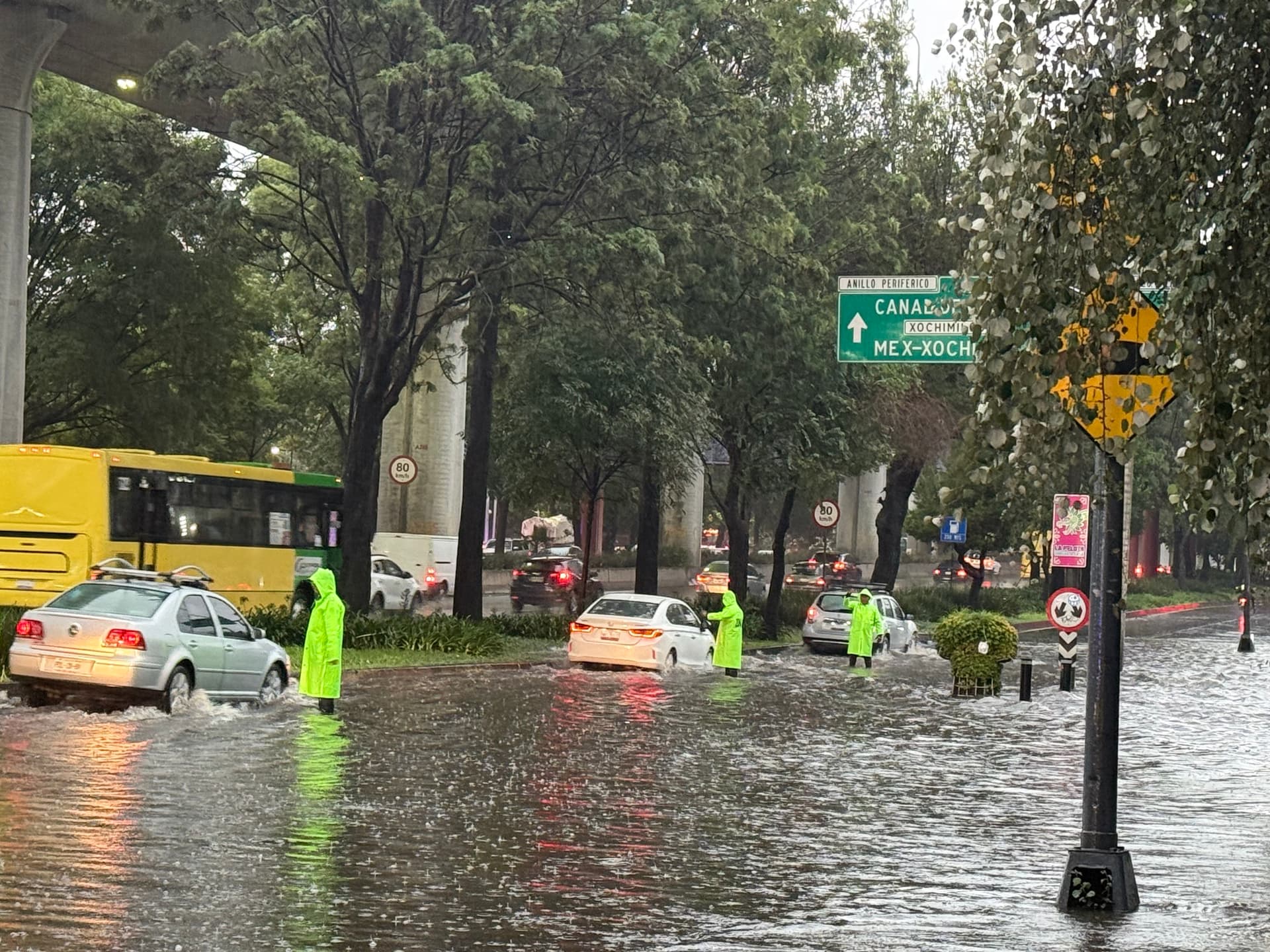 Daños por Lluvias en CDMX: Decenas de Árboles Caídos, Encharcamientos y Cortes de Luz