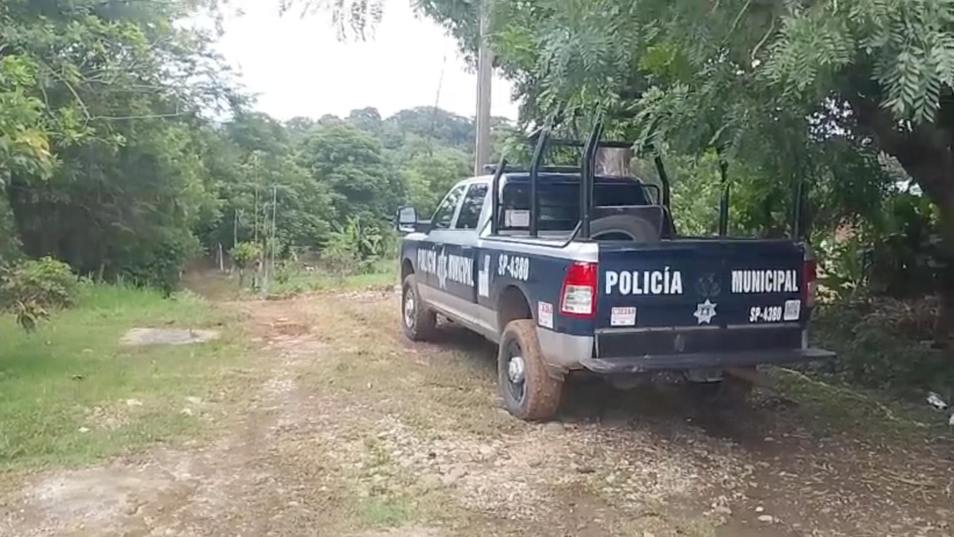 Investigan Muerte de Taxista Localizado en Zona Rural de Amatlán, Veracruz